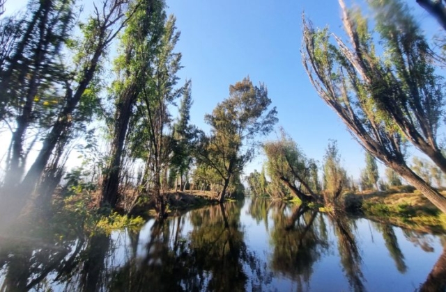 Xochimilco al amanecer – Imagen 8 de 14