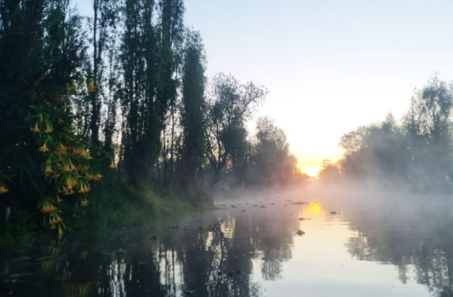 Xochimilco al amanecer – Imagen 2 de 14