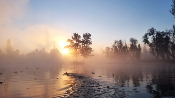 Xochimilco al amanecer – Imagen 3 de 14