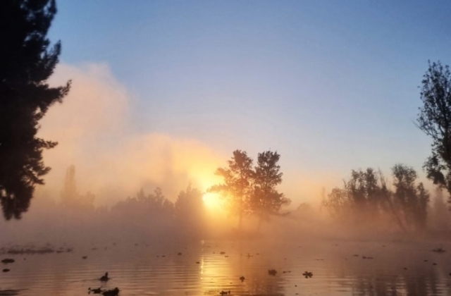 Xochimilco al amanecer – Imagen 5 de 14