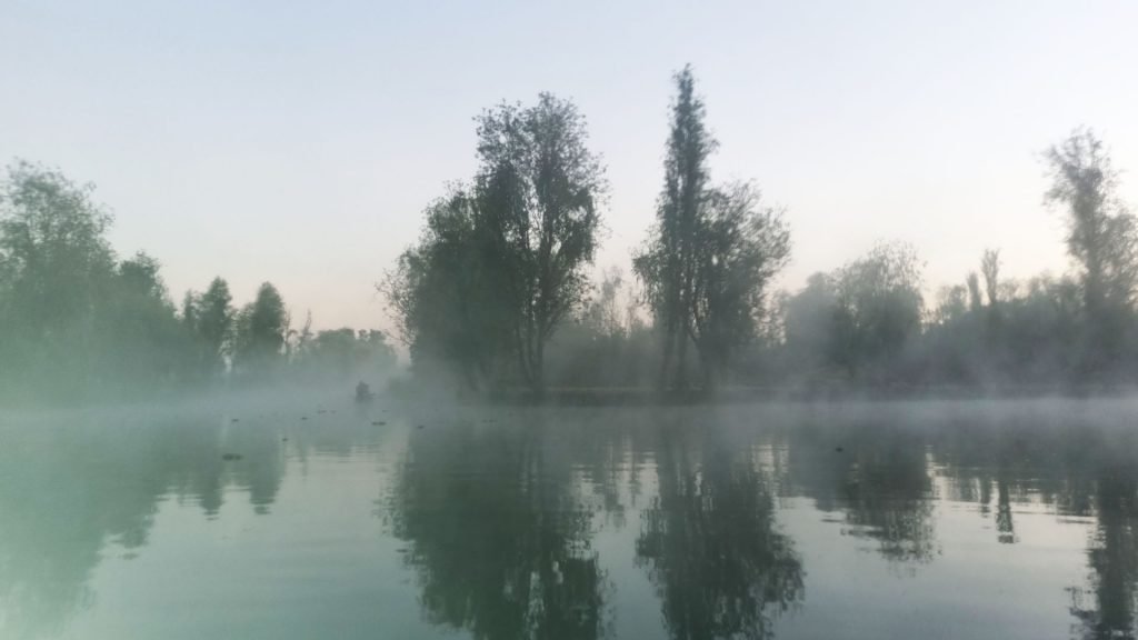 Xochimilco al amanecer – Imagen 6 de 14