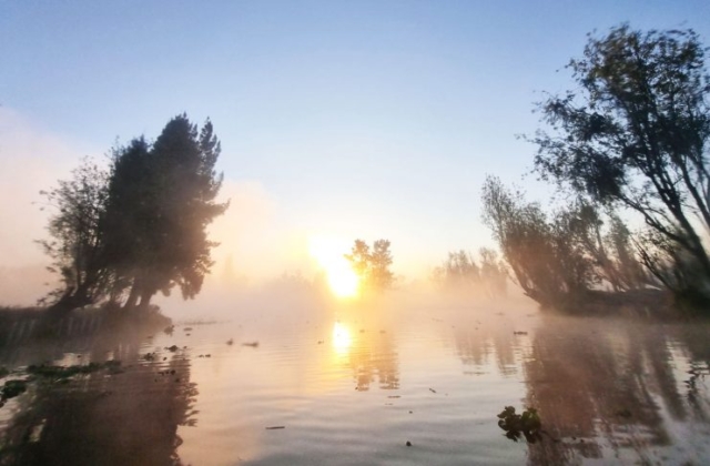 Xochimilco al amanecer – Imagen 11 de 14