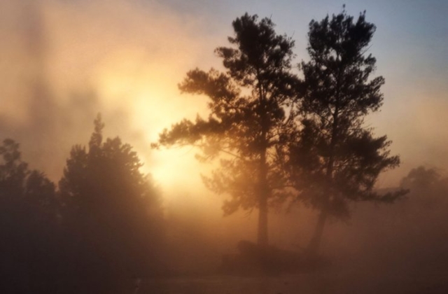 Xochimilco al amanecer – Imagen 1 de 14