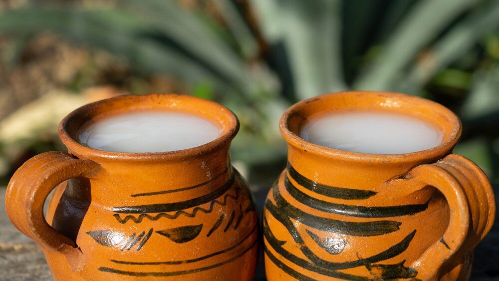 Pulque en Jarrones